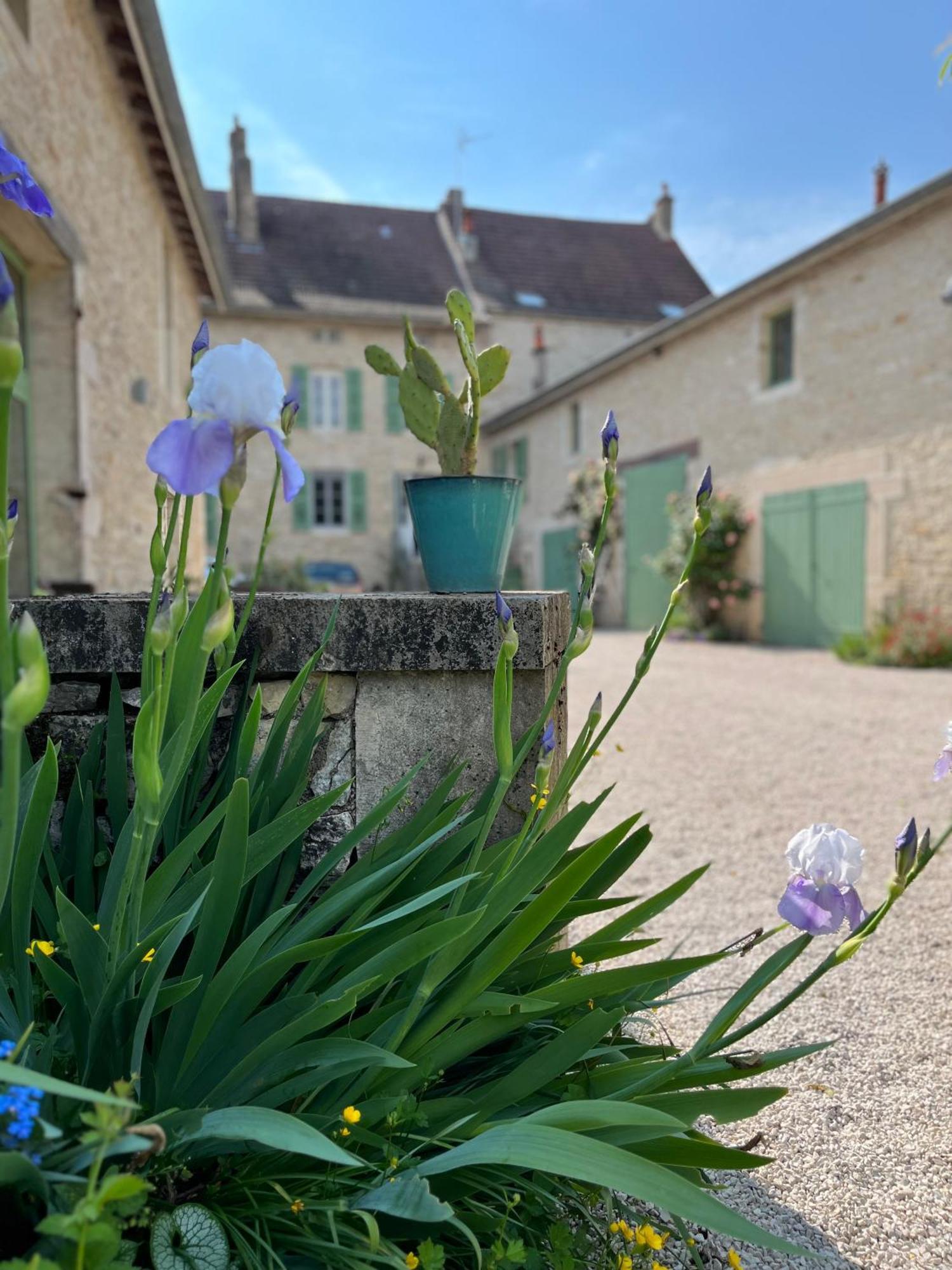 Maison Tassigny Meursault Exterior photo